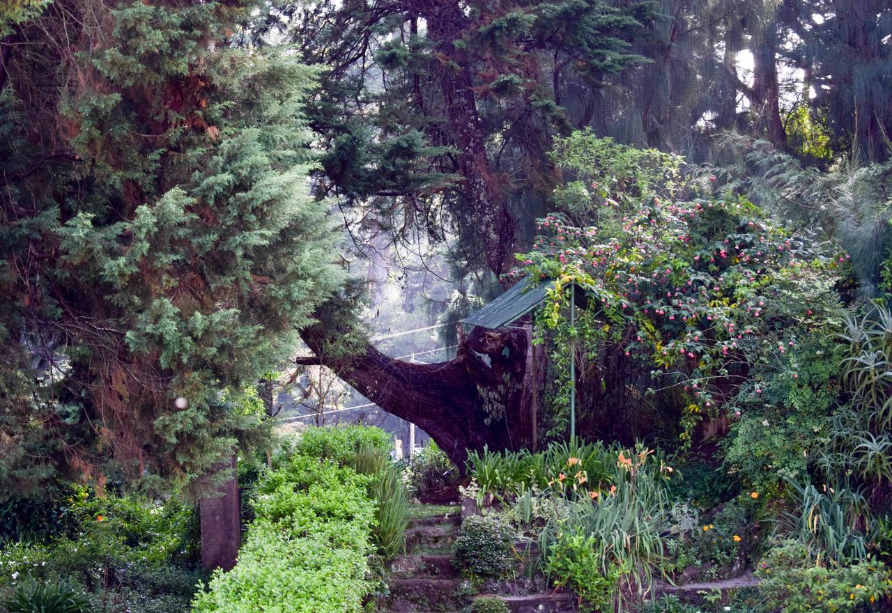 Mount Mary Inn Nuwara Eliya Exterior photo